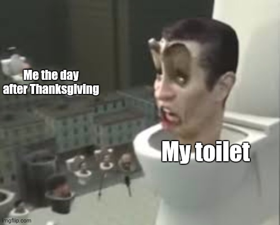 The Brainrot is Consuming Me | Me the day after Thanksgiving; My toilet | image tagged in skibidi toilet meme | made w/ Imgflip meme maker