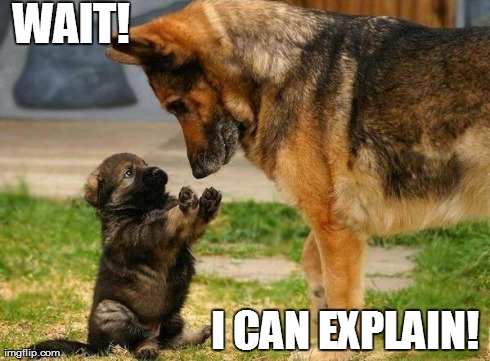 WAIT! I CAN EXPLAIN! | image tagged in wait | made w/ Imgflip meme maker