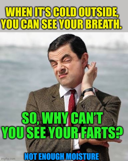 Ever wonder? | WHEN IT’S COLD OUTSIDE, YOU CAN SEE YOUR BREATH. SO, WHY CAN’T YOU SEE YOUR FARTS? NOT ENOUGH MOISTURE | image tagged in mr bean question,jokes,fart jokes,fun,questions | made w/ Imgflip meme maker