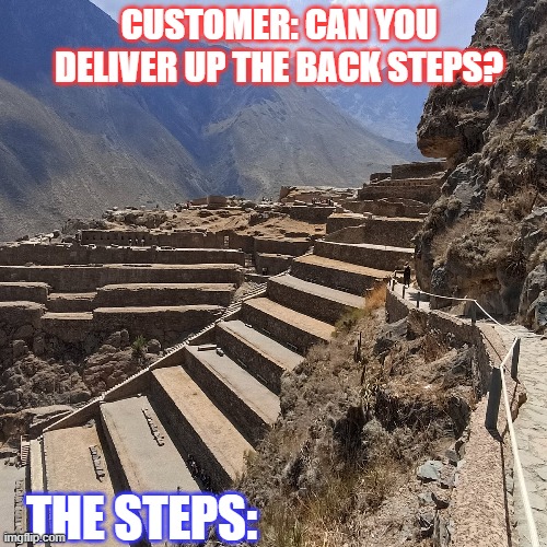 What's wrong with the front door???? | CUSTOMER: CAN YOU DELIVER UP THE BACK STEPS? THE STEPS: | image tagged in huge,extreme | made w/ Imgflip meme maker