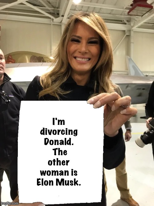 Been seperate bedrooms for years | I'm divorcing Donald.  The other woman is Elon Musk. | image tagged in melania trump blank sheet | made w/ Imgflip meme maker