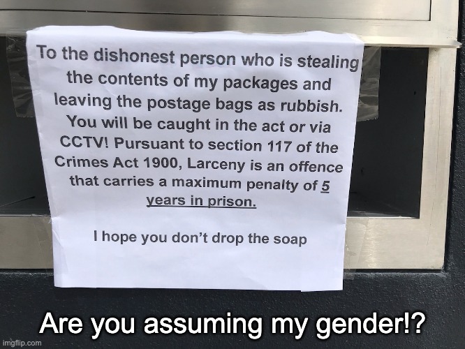 Assuming my gender! | Are you assuming my gender!? | image tagged in prison,crime,gender issues,transgender | made w/ Imgflip meme maker