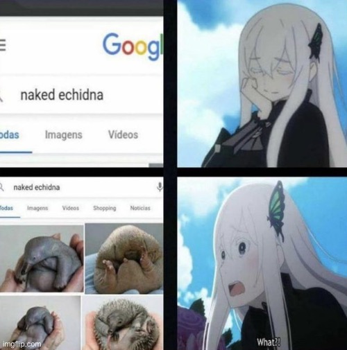 image tagged in re zero | made w/ Imgflip meme maker