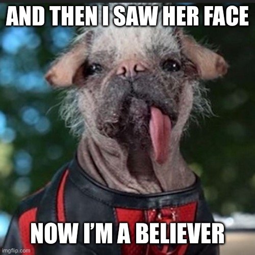 Dogpool’s a Believer | AND THEN I SAW HER FACE; NOW I’M A BELIEVER | image tagged in dogpool | made w/ Imgflip meme maker