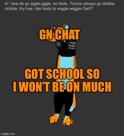 Aria The Longcat | GN CHAT; GOT SCHOOL SO I WON’T BE ON MUCH | image tagged in aria the longcat | made w/ Imgflip meme maker