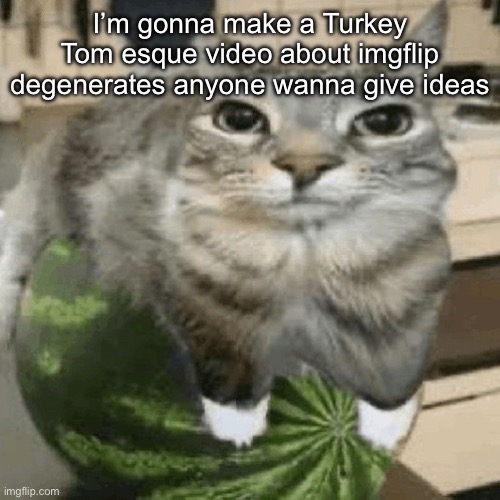 Cat on melon | I’m gonna make a Turkey Tom esque video about imgflip degenerates anyone wanna give ideas | image tagged in cat on melon | made w/ Imgflip meme maker