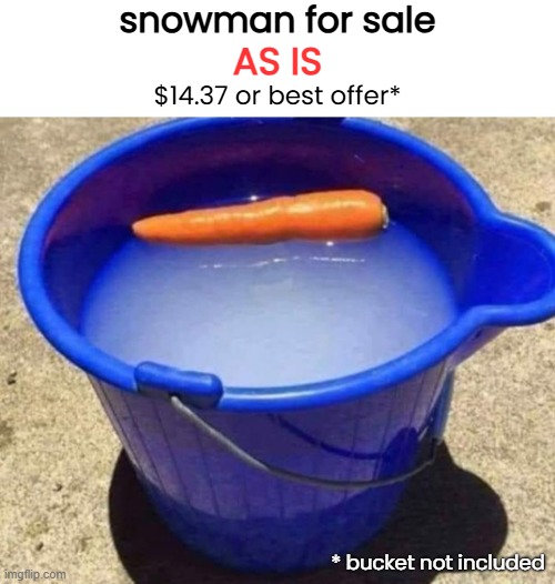 Slushy the Snowman | snowman for sale; AS IS; $14.37 or best offer*; * bucket not included | image tagged in funny memes,christmas,snowman | made w/ Imgflip meme maker