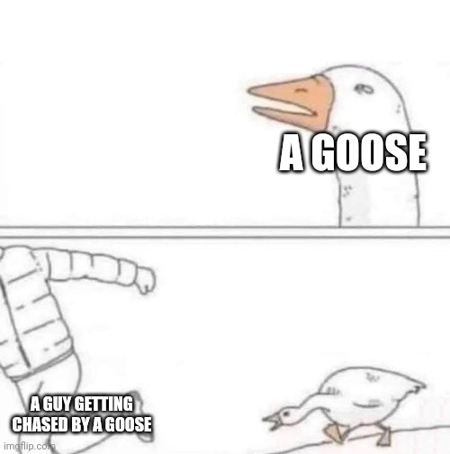 Goose Chase | A GOOSE; A GUY GETTING CHASED BY A GOOSE | image tagged in goose chase | made w/ Imgflip meme maker