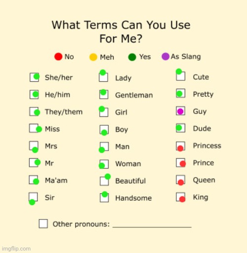 I'm not picky about gender | image tagged in pronouns sheet | made w/ Imgflip meme maker