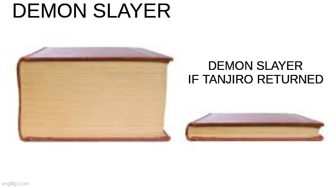 Big book small book | DEMON SLAYER; DEMON SLAYER IF TANJIRO RETURNED | image tagged in big book small book | made w/ Imgflip meme maker