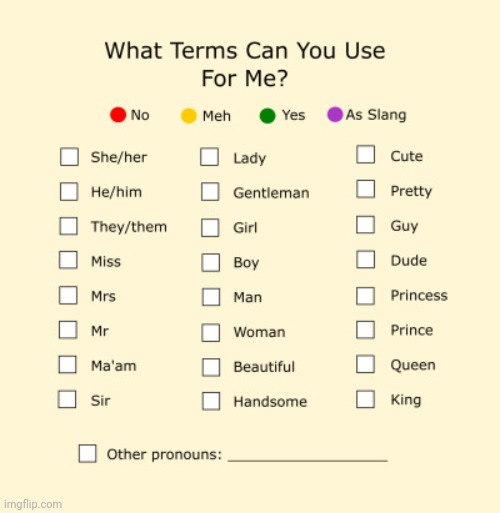 Pronouns Sheet | image tagged in pronouns sheet | made w/ Imgflip meme maker