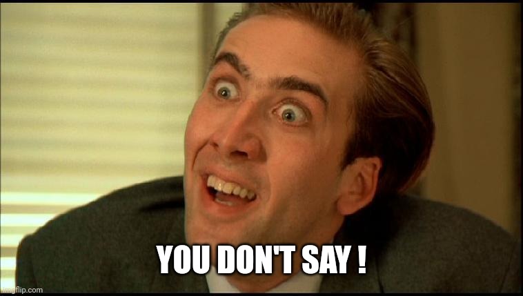 You Don't Say - Nicholas Cage | YOU DON'T SAY ! | image tagged in you don't say - nicholas cage | made w/ Imgflip meme maker