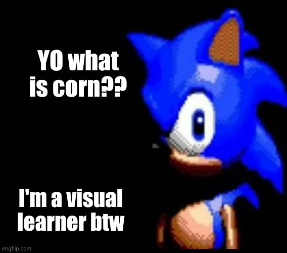 heh | YO what is corn?? I'm a visual learner btw | image tagged in sonic stares,corn,sonic,hehe,dark humor,funny | made w/ Imgflip meme maker