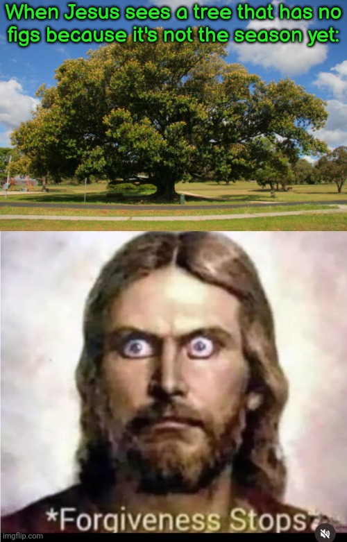 Mark 11:12-25 & Matthew 21:18-22. | When Jesus sees a tree that has no
figs because it's not the season yet: | image tagged in fig tree,forgiveness stops,the bible,tantrum,killed,plants vs zombies | made w/ Imgflip meme maker