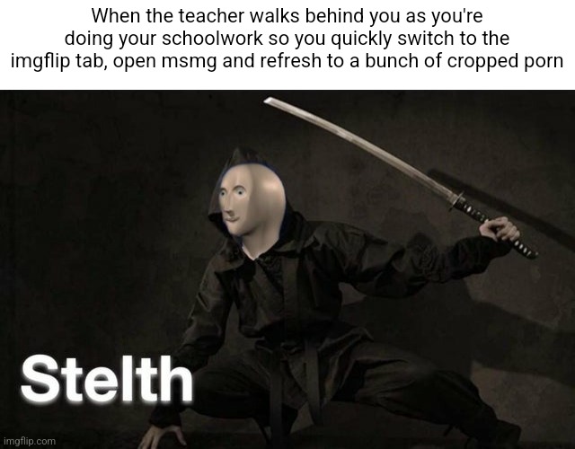 Stelth | When the teacher walks behind you as you're doing your schoolwork so you quickly switch to the imgflip tab, open msmg and refresh to a bunch of cropped porn | image tagged in stelth | made w/ Imgflip meme maker