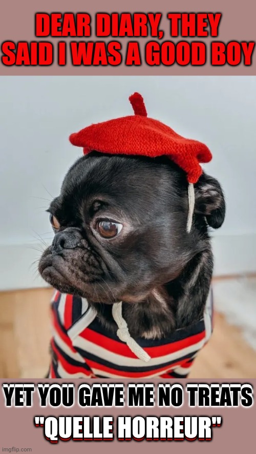 Le Chien Noir | DEAR DIARY, THEY SAID I WAS A GOOD BOY; YET YOU GAVE ME NO TREATS; YET YOU GAVE ME NO TREATS; "QUELLE HORREUR"; "QUELLE HORREUR" | image tagged in memes,dogs,animals | made w/ Imgflip meme maker