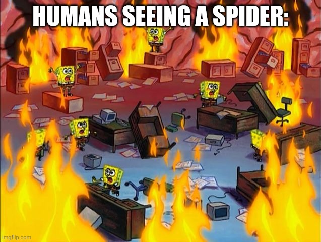 spongebob fire | HUMANS SEEING A SPIDER: | image tagged in spongebob fire | made w/ Imgflip meme maker