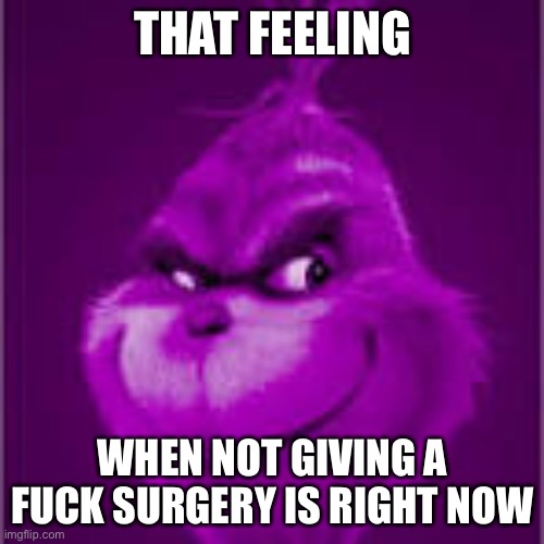 purple grinch | THAT FEELING WHEN NOT GIVING A FUCK SURGERY IS RIGHT NOW | image tagged in purple grinch | made w/ Imgflip meme maker