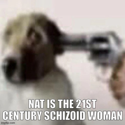 dog gunpoint | NAT IS THE 21ST CENTURY SCHIZOID WOMAN | image tagged in dog gunpoint | made w/ Imgflip meme maker