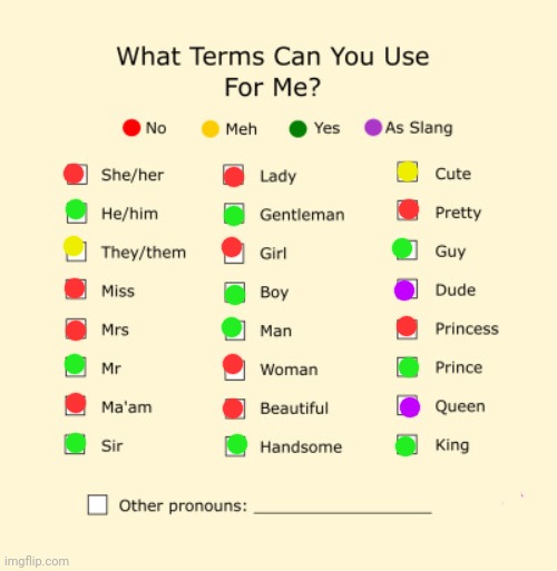 if u don't mind! ^^ | image tagged in pronouns sheet | made w/ Imgflip meme maker