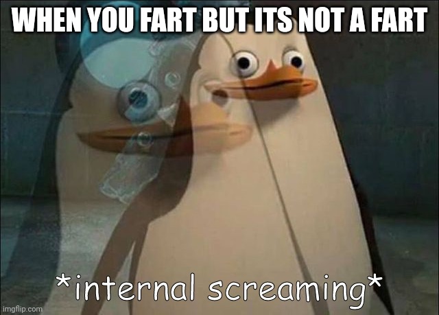 Private Internal Screaming | WHEN YOU FART BUT ITS NOT A FART | image tagged in private internal screaming | made w/ Imgflip meme maker