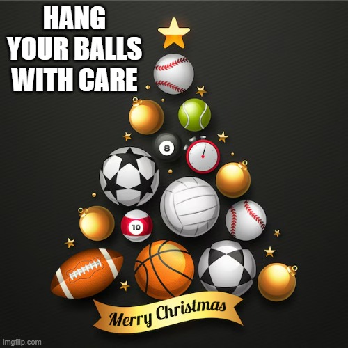 memes by Brad - Hang your Christmas balls with care - humor - | HANG YOUR BALLS WITH CARE | image tagged in sports,christmas tree,balls,funny,merry christmas | made w/ Imgflip meme maker