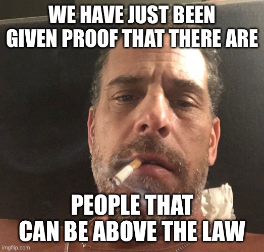 Hunter Biden | WE HAVE JUST BEEN GIVEN PROOF THAT THERE ARE; PEOPLE THAT CAN BE ABOVE THE LAW | image tagged in hunter biden | made w/ Imgflip meme maker