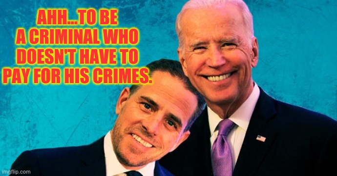 Above The Law | AHH...TO BE A CRIMINAL WHO DOESN'T HAVE TO PAY FOR HIS CRIMES. | image tagged in joe biden hunter biden,partners in crime,hunter,pardon,memes,politics | made w/ Imgflip meme maker