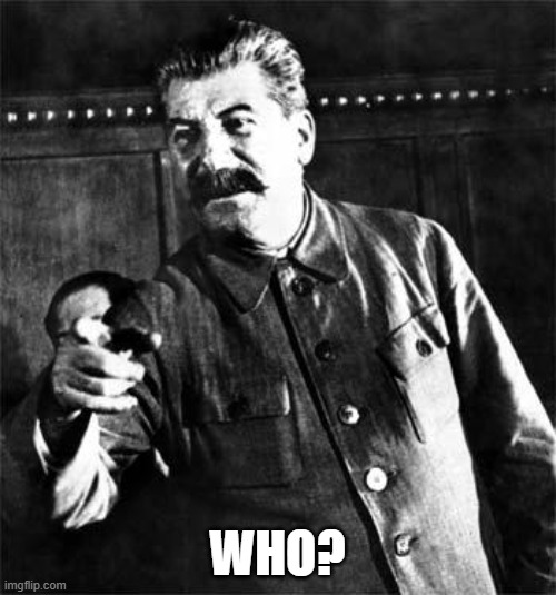 Stalin | WHO? | image tagged in stalin | made w/ Imgflip meme maker