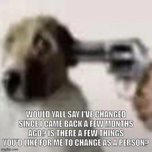 dog gunpoint | WOULD YALL SAY I'VE CHANGED SINCE I CAME BACK A FEW MONTHS AGO? IS THERE A FEW THINGS YOU'D LIKE FOR ME TO CHANGE AS A PERSON? | image tagged in dog gunpoint | made w/ Imgflip meme maker