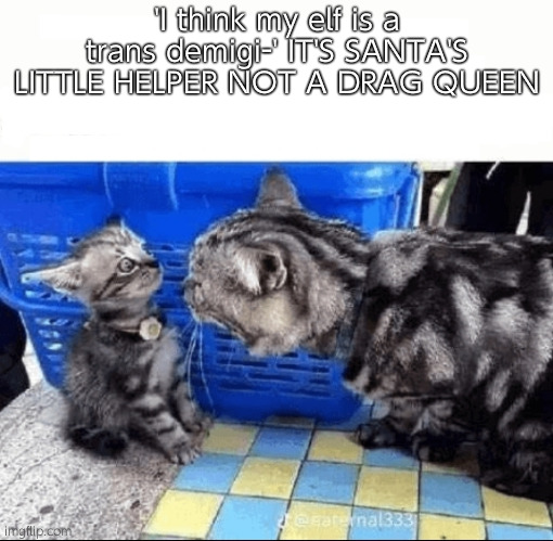 you're going on the naughty list | 'I think my elf is a trans demigi-' IT'S SANTA'S LITTLE HELPER NOT A DRAG QUEEN | image tagged in cat yelling to a kitten | made w/ Imgflip meme maker