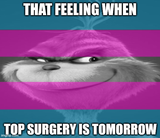 I'm cis, but this idea popped into my head and I thought it was funny | THAT FEELING WHEN; TOP SURGERY IS TOMORROW | image tagged in blue grinch | made w/ Imgflip meme maker