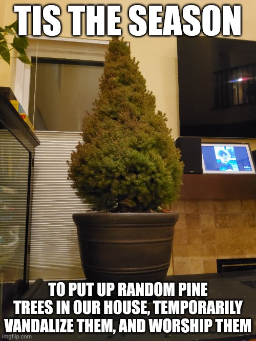 TIS THE SEASON; TO PUT UP RANDOM PINE TREES IN OUR HOUSE, TEMPORARILY VANDALIZE THEM, AND WORSHIP THEM | made w/ Imgflip meme maker