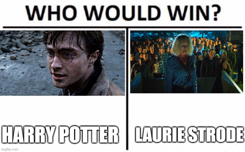 For best lead movie character who has finally done away with their long-time enemy. | HARRY POTTER; LAURIE STRODE | image tagged in memes,who would win,harry potter,halloween ends,warner bros,universal | made w/ Imgflip meme maker