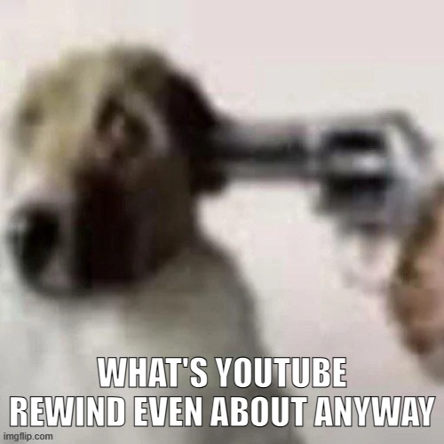 dog gunpoint | WHAT'S YOUTUBE REWIND EVEN ABOUT ANYWAY | image tagged in dog gunpoint | made w/ Imgflip meme maker