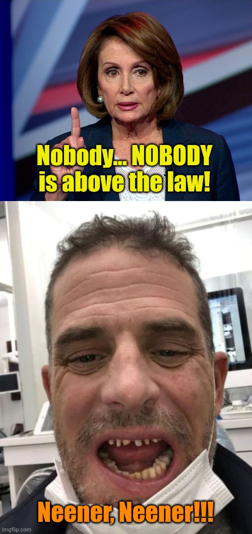 PARdons... Getcher Pardons here!!! | Nobody... NOBODY is above the law! Neener, Neener!!! | image tagged in nanci pelosi finger | made w/ Imgflip meme maker