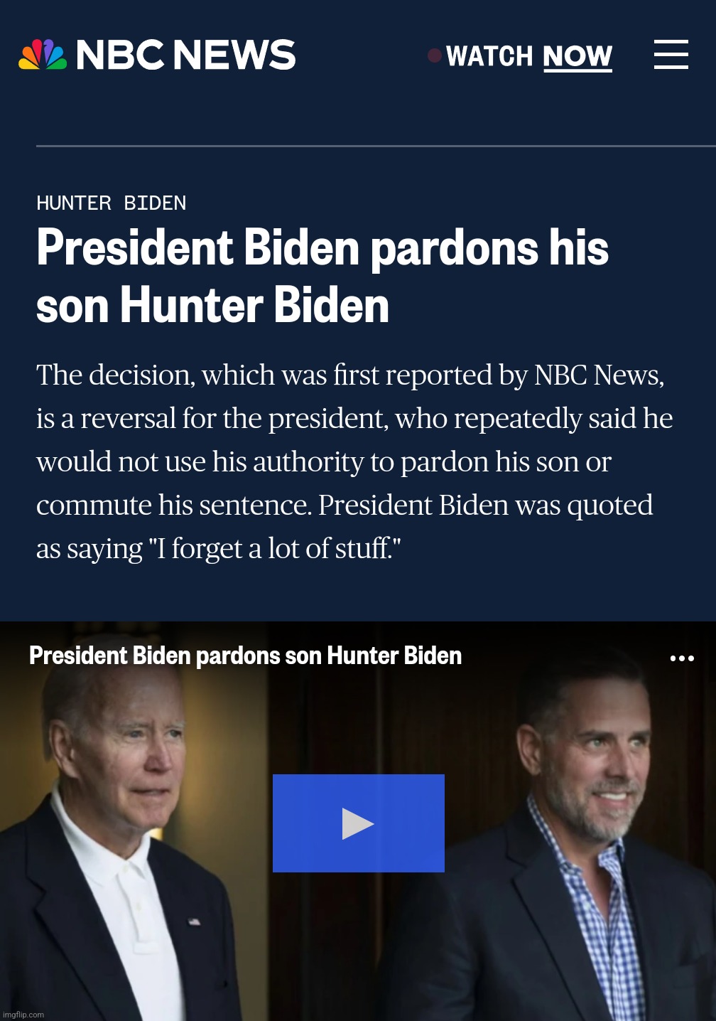 Imgflip News Channel - Forget-me-not | image tagged in i beg your pardon,pardon,joe biden,hunter biden,forget-me-not,wtf | made w/ Imgflip meme maker