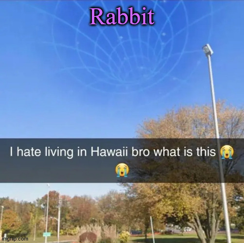 I hate living in Hawaii bro what is this | Rabbit | image tagged in i hate living in hawaii bro what is this,cinnabox announcement,sorry i dont have the font | made w/ Imgflip meme maker