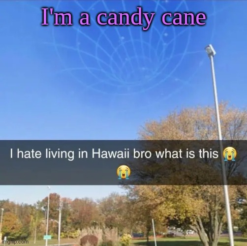 I hate living in Hawaii bro what is this | I'm a candy cane | image tagged in i hate living in hawaii bro what is this | made w/ Imgflip meme maker