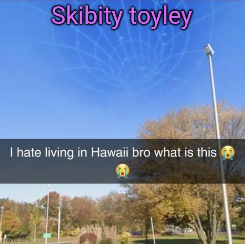 I hate living in Hawaii bro what is this | Skibity toyley | image tagged in i hate living in hawaii bro what is this | made w/ Imgflip meme maker