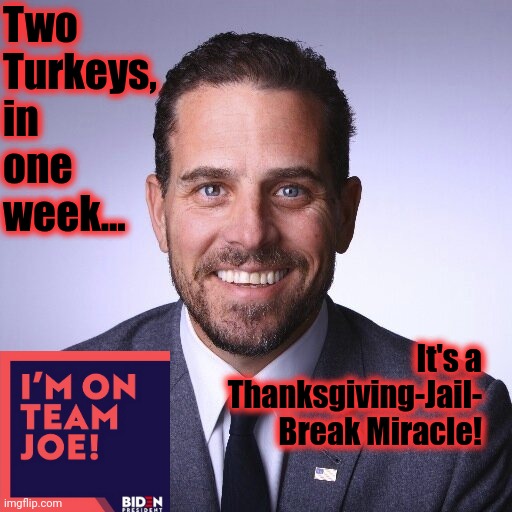 "DEMOCRACY® not Autocracy"..."...the most important election of our lifetime". | Two Turkeys, in one week... It's a Thanksgiving-Jail- Break Miracle! | image tagged in hunter biden,pepperidge farm remembers,joe forgets his promise,biden crime family,2 turkeys one week,memes | made w/ Imgflip meme maker