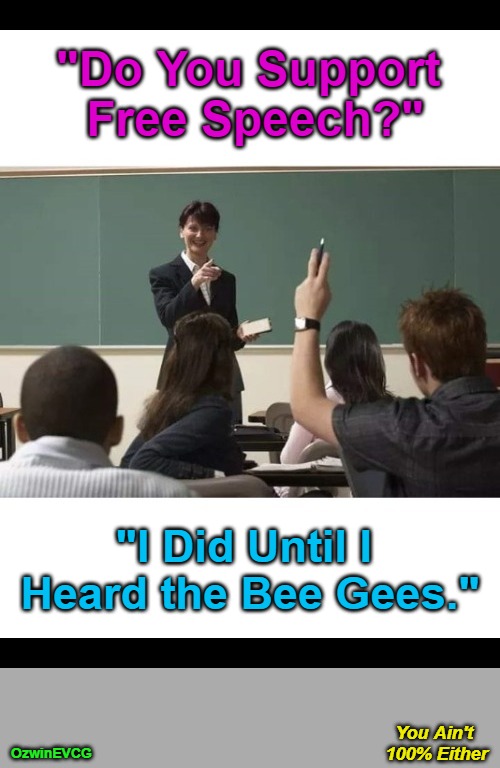 YA1E | "Do You Support 

Free Speech?"; "I Did Until I 

Heard the Bee Gees."; You Ain't 

100% Either; OzwinEVCG | image tagged in teachers and students,questions and answers,free speech,music debates,free expression,real talk | made w/ Imgflip meme maker