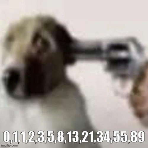 dog gunpoint | 0,1,1,2,3,5,8,13,21,34,55,89 | image tagged in dog gunpoint | made w/ Imgflip meme maker