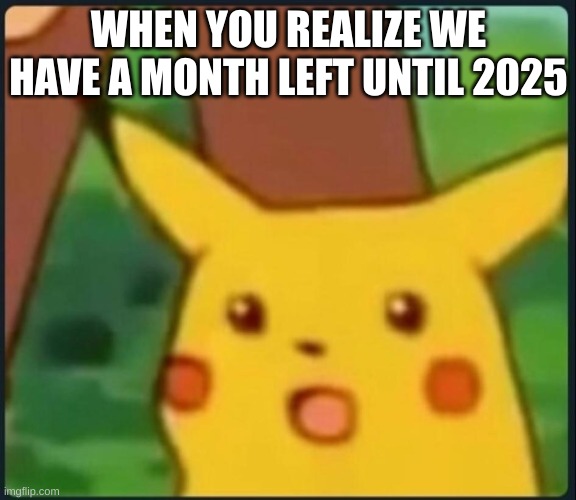 WHAT THE ACTUAL FU- | WHEN YOU REALIZE WE HAVE A MONTH LEFT UNTIL 2025 | image tagged in surprised pikachu | made w/ Imgflip meme maker