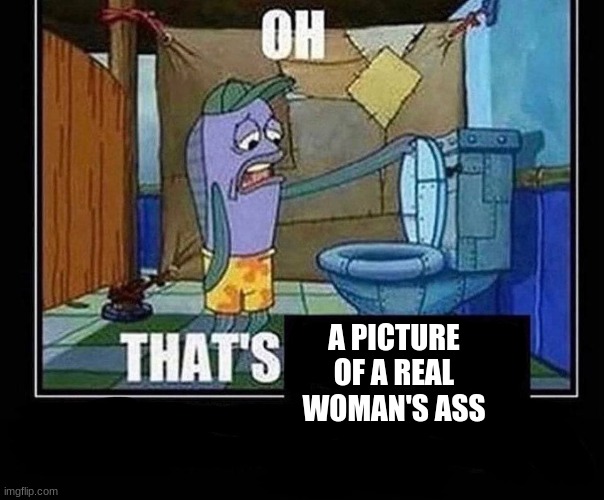 Oh that’s | A PICTURE OF A REAL WOMAN'S ASS | image tagged in oh that s | made w/ Imgflip meme maker