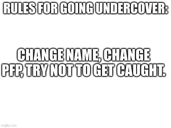 keep our stream safe if you wanna do mission impossible shit | RULES FOR GOING UNDERCOVER:; CHANGE NAME, CHANGE PFP, TRY NOT TO GET CAUGHT. | image tagged in undercover,anti furry | made w/ Imgflip meme maker