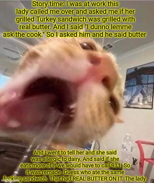 Bruh. | Story time: I was at work this lady called me over and asked me if her grilled Turkey sandwich was grilled with real butter. And I said "I dunno lemme ask the cook." So I asked him and he said butter; And I went to tell her and she said was allergic to dairy. And said if she eats more of it we would have to call 911. So it was remade. Guess who ate the same fucking sandwich. That had REAL BUTTER ON IT. The lady. | image tagged in blahhhhhhhh | made w/ Imgflip meme maker