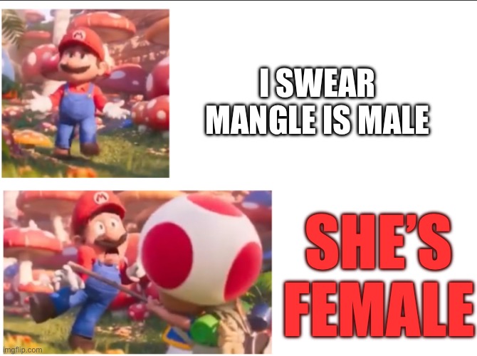 Toad hitting Mario | I SWEAR MANGLE IS MALE; SHE’S FEMALE | image tagged in toad hitting mario | made w/ Imgflip meme maker