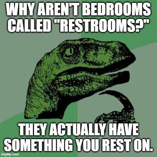 Philosoraptor Meme | WHY AREN'T BEDROOMS CALLED "RESTROOMS?" THEY ACTUALLY HAVE SOMETHING YOU REST ON. | image tagged in memes,philosoraptor | made w/ Imgflip meme maker