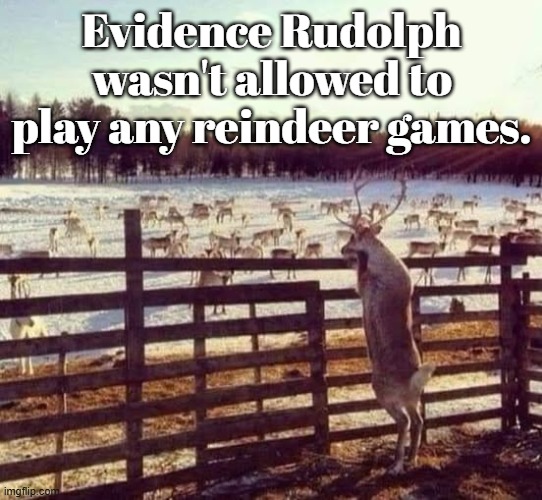 Evidence Rudolph wasn't allowed to play any reindeer games | Evidence Rudolph wasn't allowed to play any reindeer games. | image tagged in rudolph,christmas | made w/ Imgflip meme maker